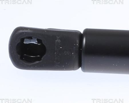 Triscan 8710 24291 - Газова пружина, кришка багажник autocars.com.ua