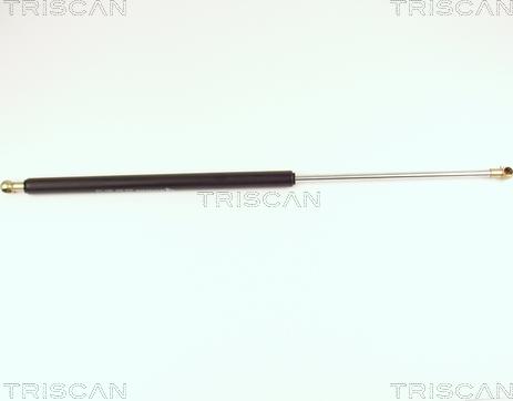 Triscan 8710 27205 - Газовая пружина, упор autodnr.net