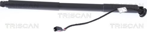 Triscan 8710 27302 - Газова пружина, кришка багажник autocars.com.ua