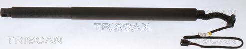 Triscan 8710 27303 - Газовая пружина, упор autodnr.net