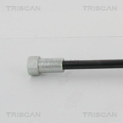 Triscan 8710 28293 - Газовая пружина, упор autodnr.net