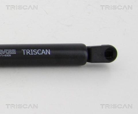 Triscan 8710 292027 - Газовая пружина, упор avtokuzovplus.com.ua