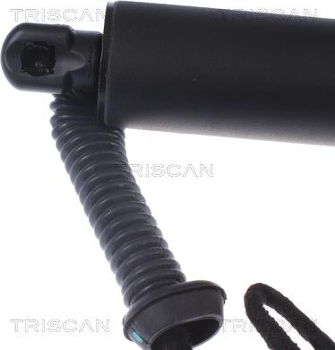 Triscan 8710 29302 - Газова пружина, кришка багажник autocars.com.ua