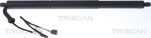 Triscan 8710 29302 - Газовая пружина, упор avtokuzovplus.com.ua