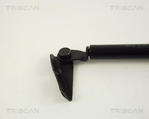 Triscan 8710 41205 - Газова пружина, кришка багажник autocars.com.ua