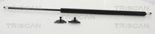 Triscan 8710 42233 - Газова пружина, кришка багажник autocars.com.ua