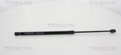 Triscan 8710 43229 - Газовая пружина, упор autodnr.net