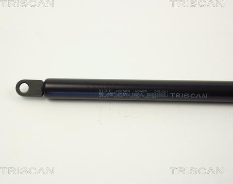 Triscan 8710 6503 - Газовая пружина, упор avtokuzovplus.com.ua