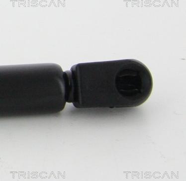 Triscan 8710 67206 - Газовая пружина, упор autodnr.net