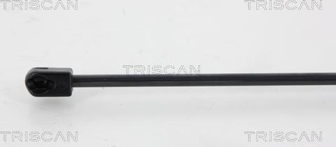 Triscan 8710 67216 - Газовая пружина, упор autodnr.net