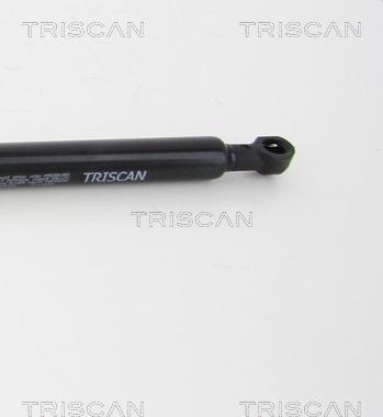 Triscan 8710 69202 - Газова пружина, кришка багажник autocars.com.ua