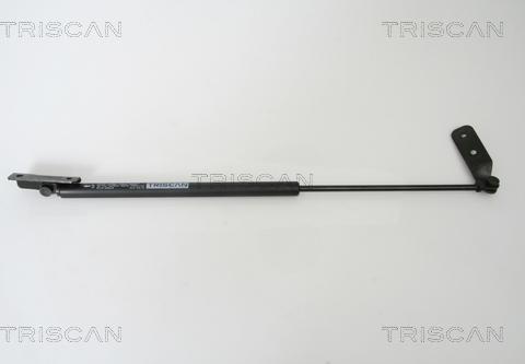 Triscan 8710 69219 - Газовая пружина, упор autodnr.net