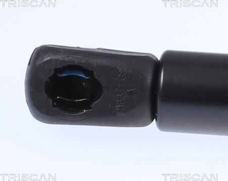 Triscan 8710 81101 - Газовая пружина, капот autodnr.net