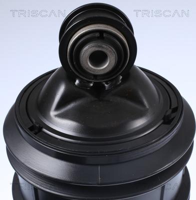 Triscan 8720 23205 - Пневматическая рессора, ходовая часть autodnr.net