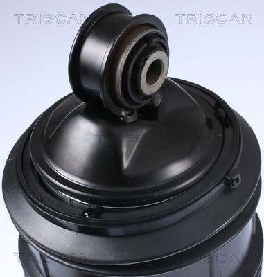 Triscan 8720 23206 - Пневматична ресора, ходова частина autocars.com.ua