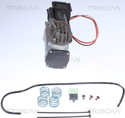 Triscan 8725 11101 - Компресор, пневматична система autocars.com.ua