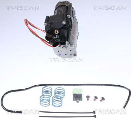 Triscan 8725 11101 - Компресор, пневматична система autocars.com.ua