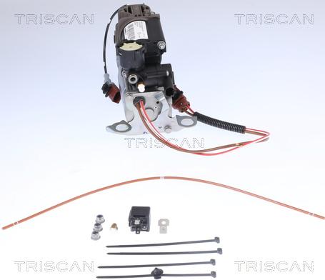 Triscan 8725 29101 - Компресор, пневматична система autocars.com.ua