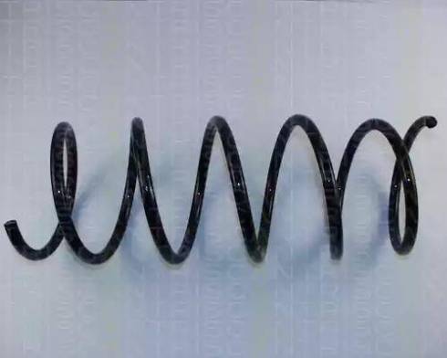 Triscan 8750 2506 - Пружина ходової частини autocars.com.ua