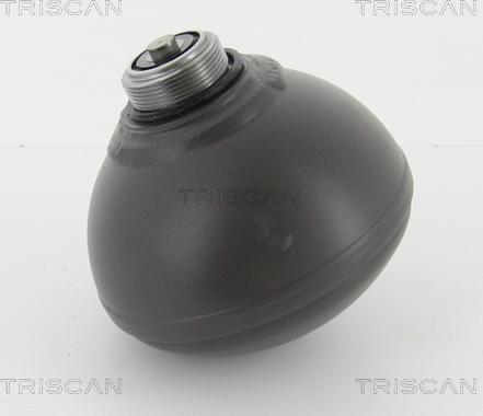 Triscan 8760 38229 - Гидроаккумулятор, подвеска / амортизация avtokuzovplus.com.ua