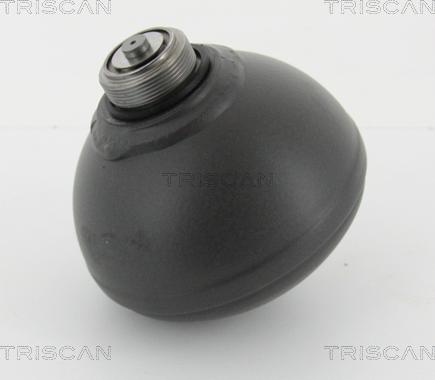 Triscan 8760 38231 - Гидроаккумулятор, подвеска / амортизация avtokuzovplus.com.ua