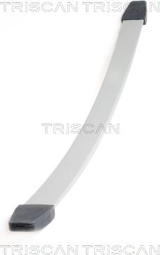 Triscan 8765 10003 - багатолистові ресора autocars.com.ua