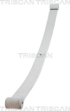 Triscan 8765 10004 - багатолистові ресора autocars.com.ua