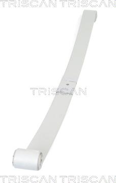 Triscan 8765 10008 - багатолистові ресора autocars.com.ua