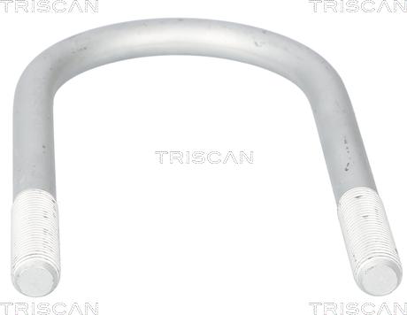 Triscan 8765 830001 - Драбина ресори autocars.com.ua