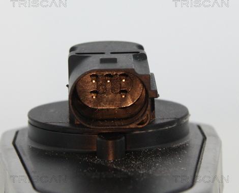 Triscan 8813 10002 - Клапан рецеркуляції відпрацьованих газів autocars.com.ua
