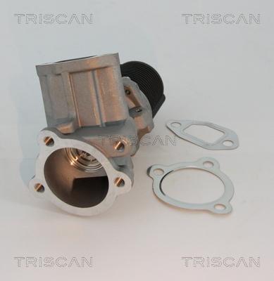 Triscan 8813 10003 - Клапан EGR FIAT 1.3JTD 04- autocars.com.ua