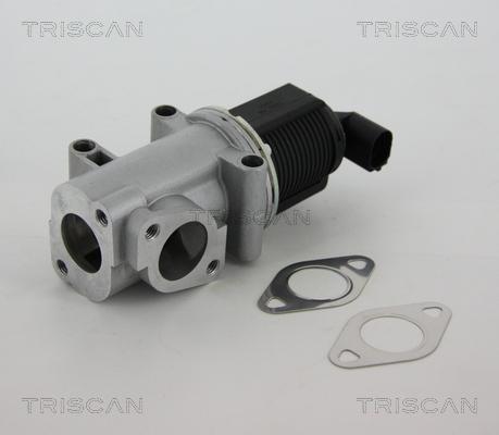 Triscan 8813 10015 - Клапан повернення ОГ autocars.com.ua