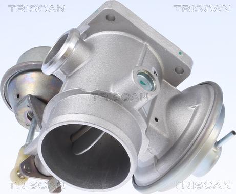 Triscan 8813 10034 - Клапан повернення ОГ autocars.com.ua