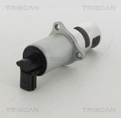 Triscan 8813 10100 - Клапан повернення ОГ autocars.com.ua