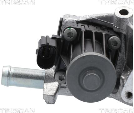 Triscan 8813 10118 - Клапан повернення ОГ autocars.com.ua