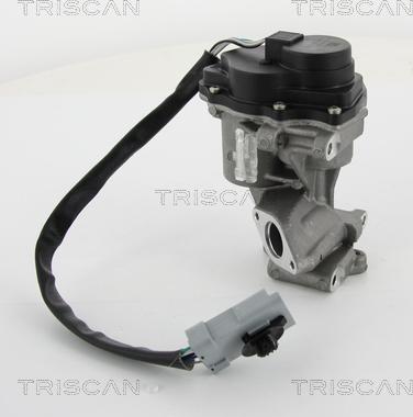 Triscan 8813 10202 - Клапан повернення ОГ autocars.com.ua