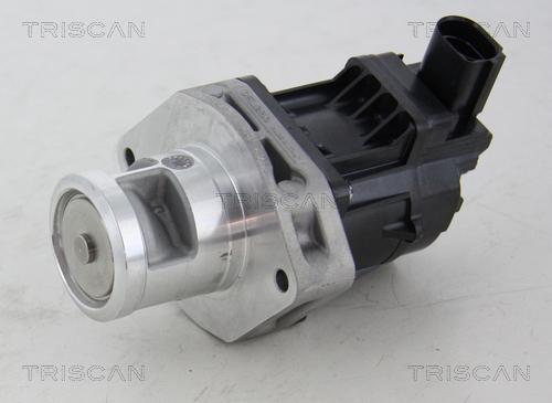 Triscan 8813 10214 - Клапан повернення ОГ autocars.com.ua