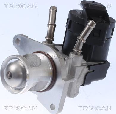 Triscan 8813 11001 - Клапан повернення ОГ autocars.com.ua
