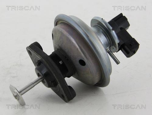 Triscan 8813 11002 - Клапан рецеркуляції відпрацьованих газів autocars.com.ua