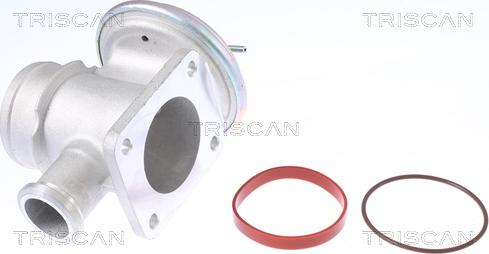 Triscan 8813 11004 - Клапан EGR BMW 3E46-5E39-7E38 1.8d-2.0d-3.0d autocars.com.ua