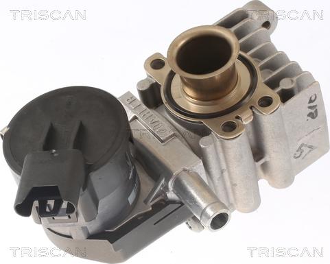 Triscan 8813 11011 - Клапан повернення ОГ autocars.com.ua