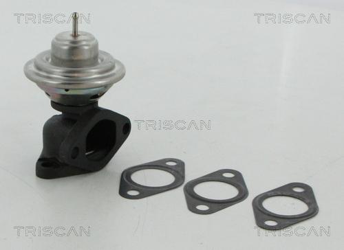 Triscan 8813 12100 - Клапан повернення ОГ autocars.com.ua