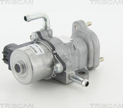 Triscan 8813 13002 - Клапан повернення ОГ autocars.com.ua