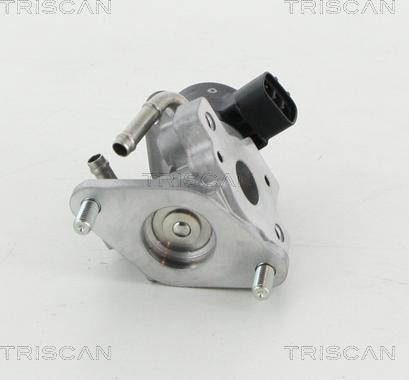 Triscan 8813 13057 - Клапан повернення ОГ autocars.com.ua