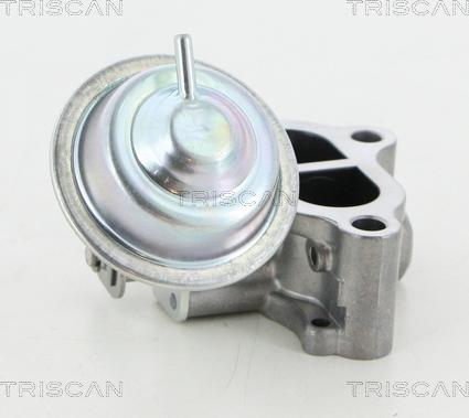 Triscan 8813 13065 - Клапан повернення ОГ autocars.com.ua