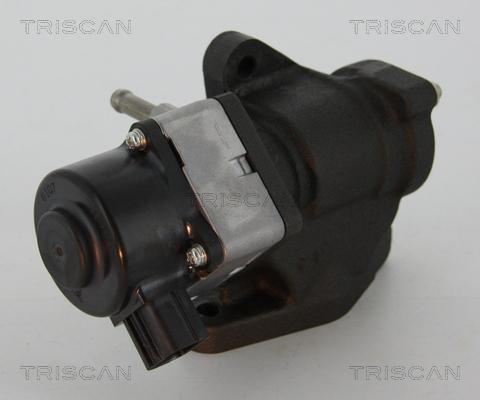 Triscan 8813 14005 - Клапан возврата ОГ avtokuzovplus.com.ua