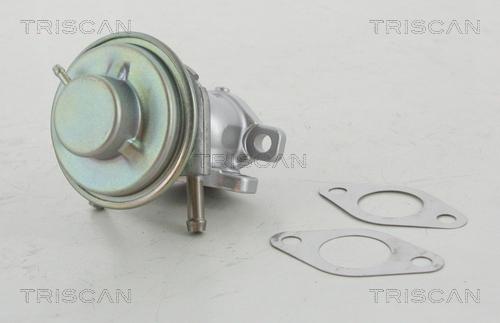 Triscan 8813 15029 - Клапан повернення ОГ autocars.com.ua