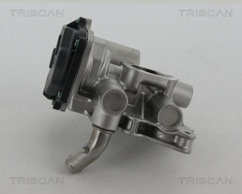 Triscan 8813 15205 - Клапан повернення ОГ autocars.com.ua