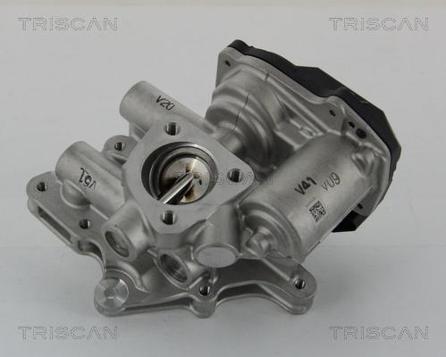 Triscan 8813 15205 - Клапан повернення ОГ autocars.com.ua