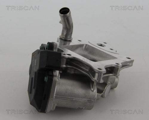 Triscan 8813 15205 - Клапан повернення ОГ autocars.com.ua